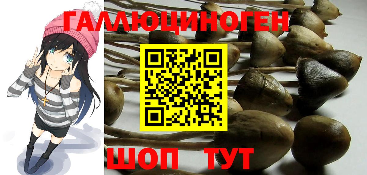 Галлюциногенные грибы прущие грибы  Псилоцибиновые грибы Magic Shrooms  Унеча  Вход с VPN 